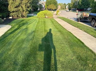 Artamease G.'s Grass Cutting service result