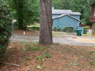 Leaf Removal by Demetrius Mitchell for Kathy Y. in Riverdale, GA