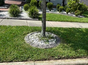 Yolette P.'s Lawn Maintenance service result