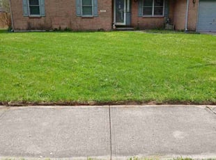Ardis N.'s Lawn Service service result