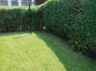 Cleanups by Matt Brady for Jill C. in Philadelphia, PA