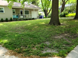Leaf Removal by Melinda Bartling for Ray F. in Overland Park, KS