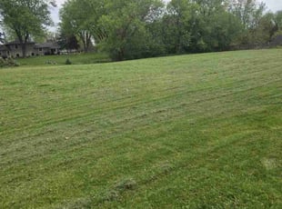 Larry M.'s Yard Cutting service result