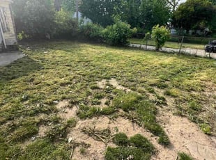 Cleanups by Christian Worsley for Carlos B. in Detroit, MI