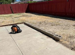 Cleanups by Adam Ausmus for Tarun J. in Sacramento, CA