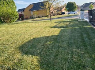 Teri S.'s Lawn Care service result