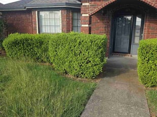 Bush Trimming by Sandro Cardoso for Mary H. in DeSoto, TX