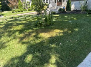 Denise S.'s Lawn Mowing service result