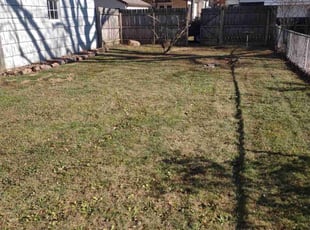Cleanups by Daniel Bunch for Amy R. in Columbus, OH