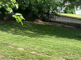 Leaf Removal by Bryant King for Shelley G E. in Kansas City, MO