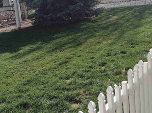 Cleanups by Joseph Schweffermann for Ginger J. in Denver, CO