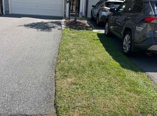 Andre B.'s Lawn Service service result