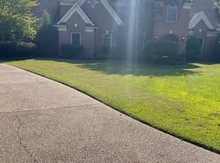 Bush Trimming by Nick Cirillo for Dr. J. in Memphis, TN