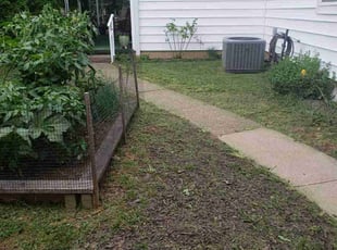 Brittany M.'s Lawn Service service result