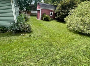 Thrash J.'s Lawn Service service result