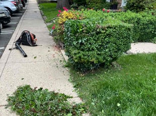 Bush Trimming by Jason Scott for Gregory P. in Gaithersburg, MD