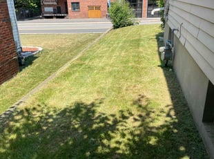 Aaron U.'s Lawn Mowing service result