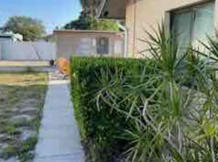 Bush Trimming by Harold Cummings for James S. in Palm Bay, FL