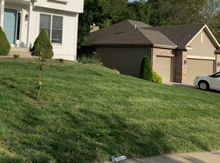 Weeding by Jade Krull for Joe N. in Kansas City, MO
