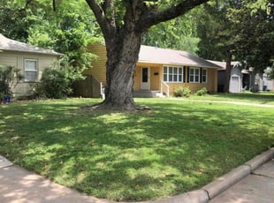 Shelia B.'s Lawn Care service result