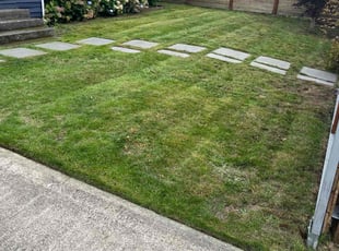 Felicia P.'s Yard Cutting service result