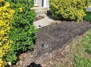 Weeding by Icaro Dos Santos for Melvin H. in Frederick, MD