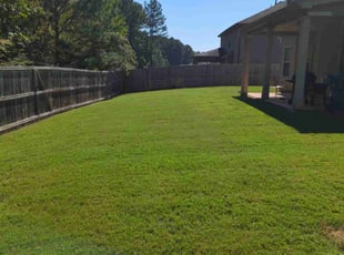 Hung Peter Kha k.'s Lawn Service service result