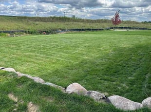 Sue N.'s Lawn Care service result