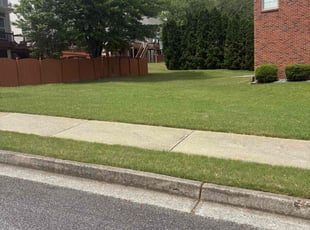 Luis S.'s Lawn Service service result