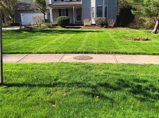 Larry M.'s Lawn Mowing service result