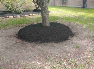 Landscaping by Joseph Meshell for Wanda R. in Humble, TX