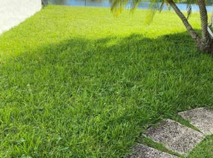 Todd G.'s Lawn Mowing Service service result