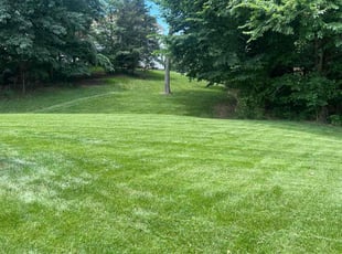Howard B.'s Grass Cutting service result