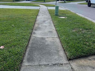 Anita L.'s Lawn Care service result