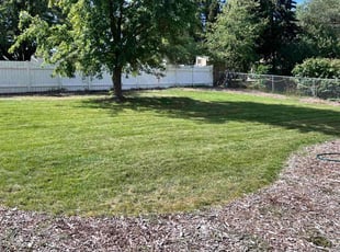 Charis P.'s Lawn Mowing Service service result