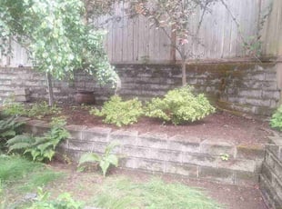 Leaf Removal by Robert Martin for Vaibhav A. in Kirkland, WA