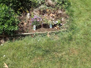 Landscaping by Matthew Spinelli for Amro O. in Milford, CT