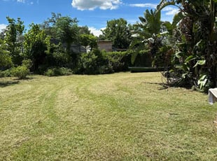 Marcia S.'s Grass Cutting service result