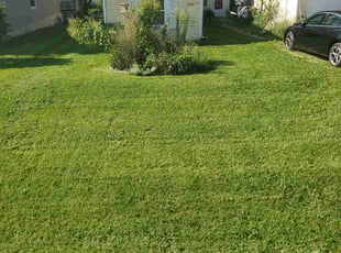 Jason L.'s Lawn Mowing service result