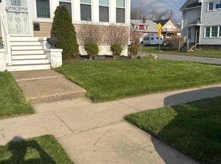Ceidy H.'s Lawn Maintenance service result
