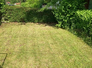 Jessica F.'s Lawn Mowing Service service result