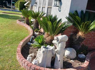 Weeding by Jose Martinez for Lauren M. in Whittier, CA