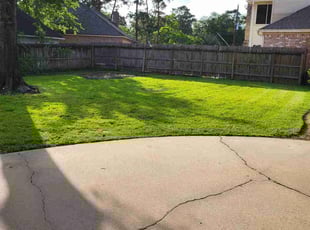 Victor R.'s Lawn Mowing service result
