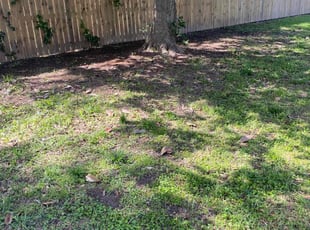 Leaf Removal by Mekeila Morris for Nicole A. in Baton Rouge, LA