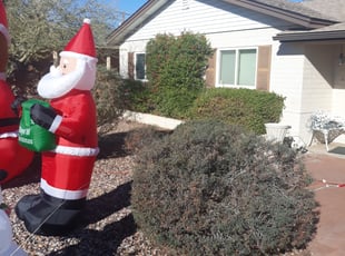 Bush Trimming by Raul Blanco for Ryan V. in Scottsdale, AZ