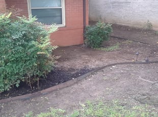 Weeding by Matthew Shafer for Ben P. in Grand Prairie, TX
