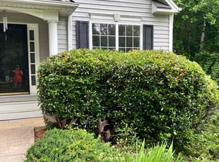 Bush Trimming by Marc Yero for Tamikio B. in Hiram, GA