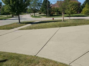 Sitara D.'s Lawn Mowing Service service result