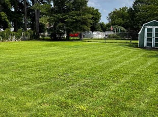 LUIS S.'s Grass Cutting service result