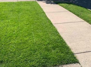 Ann W.'s Lawn Service service result